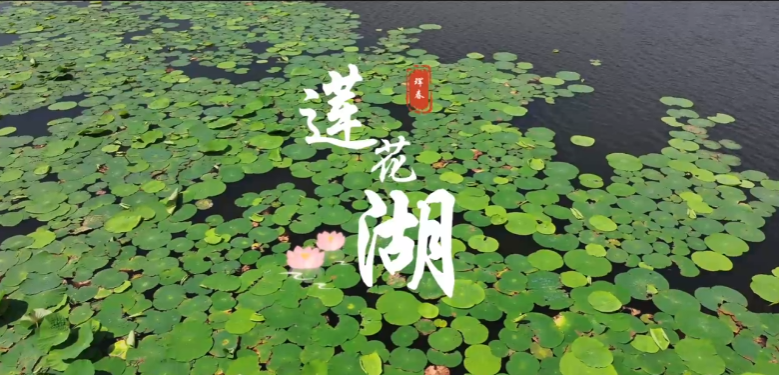 527e38387bca8c39ff1d299f8a5e5c5.png