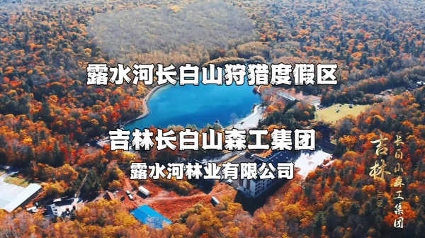 1737706015315.jpg