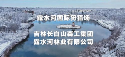 2(1)(1).jpg