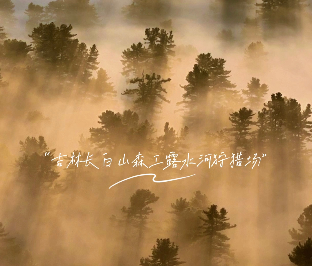 微信图片_2025-11-07_094949_511.png