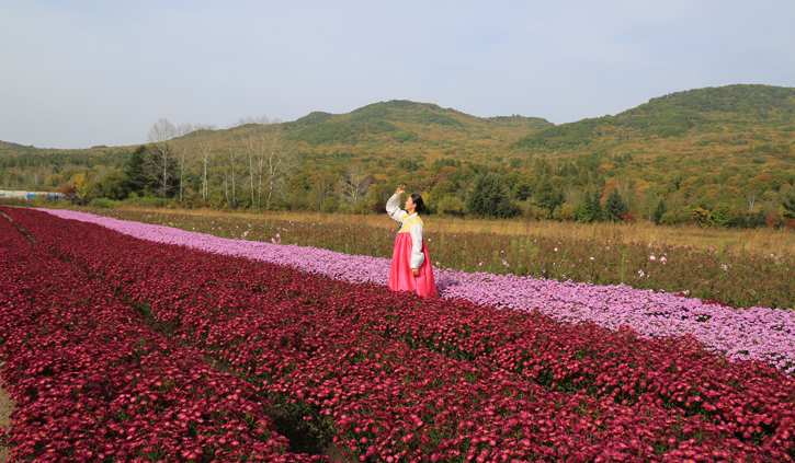 苗圃百花园.jpg