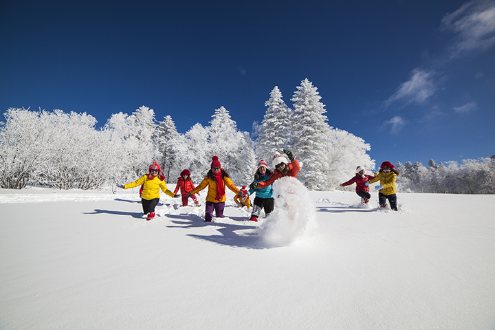长白山森工集团八家子林业公司森林冰雪生态旅游.jpg