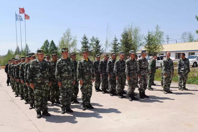 延边林区“大战”松毛虫