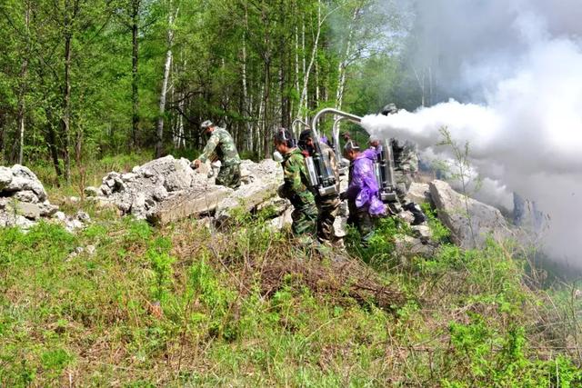 延边林区“大战”松毛虫