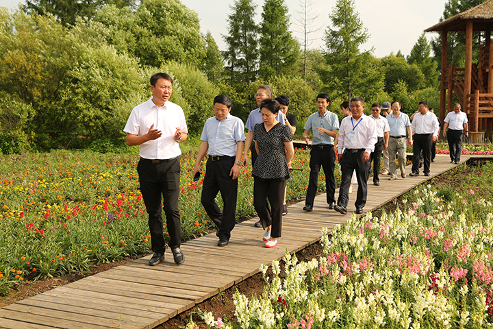 4调研组步行实地察看公司湿地公司建设情况.jpg