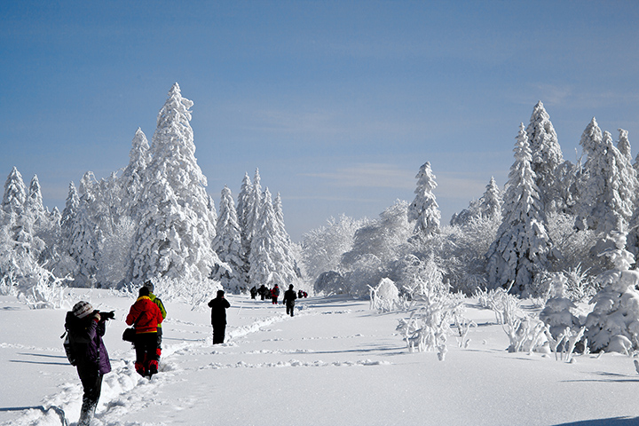 八家子林业局雪岭景区 童话雪世界.jpg