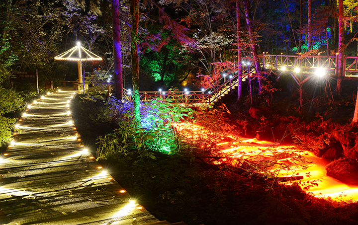 白河林业局大戏台河夜景 徐德财摄.jpg