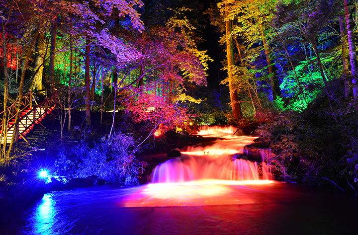 白河林业局大戏台河夜景1 徐德财摄.jpg