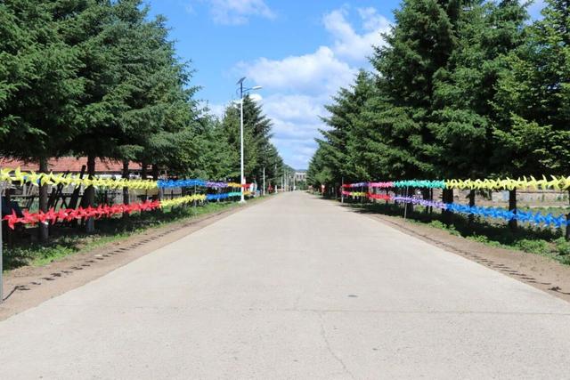 印象长白山森工：清洁行动让林区美丽 环境整治为职工谋福