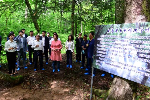 长白山森工集团首个大型矿泉水项目开工建设