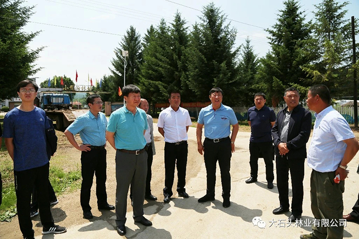 01集团公司副总裁张玉华率督查组督导检查大石头林业人居环境整治工作.jpg