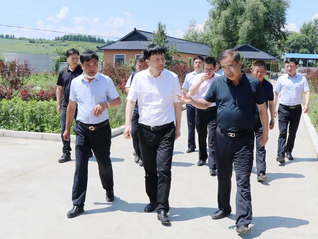 王连弟到汪清 大兴沟 天桥岭林业公司督导调研上半年重点工作