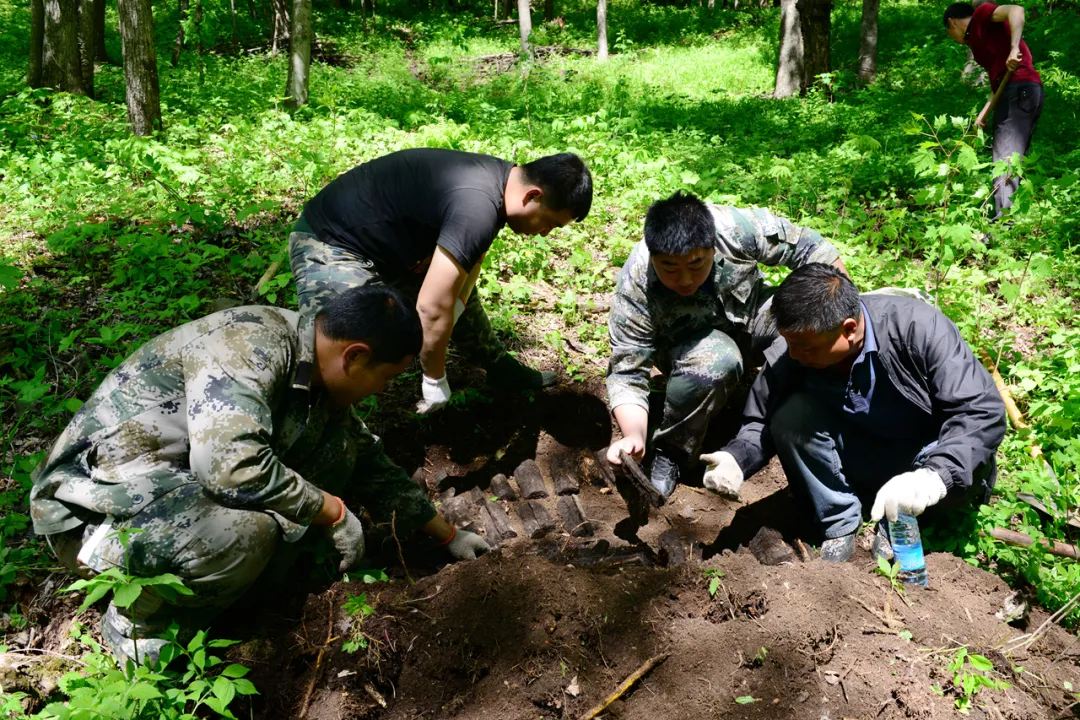 印象长白山森工：林业科技助力集团高质量发展