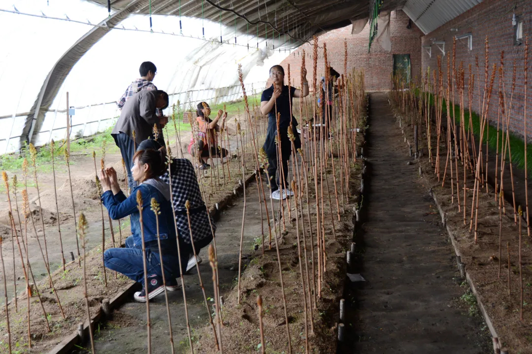 印象长白山森工：林业科技助力集团高质量发展