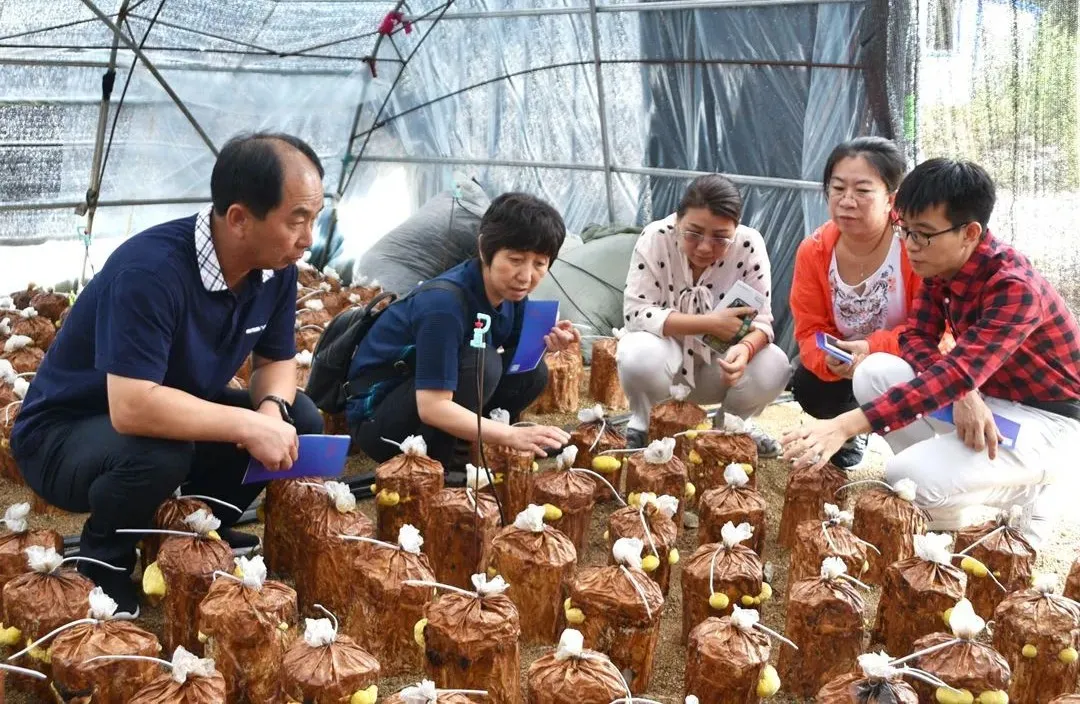 印象长白山森工：林业科技助力集团高质量发展