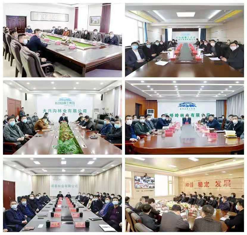 长白山森工集团党委召开党史学习教育动员大会