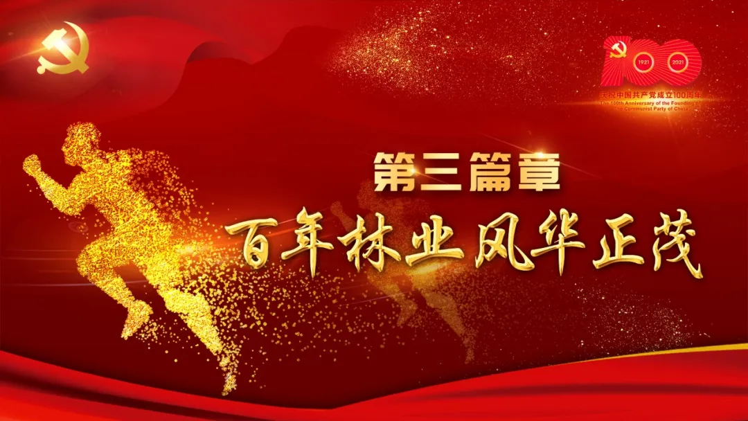 长白山森工集团隆重召开庆祝中国共产党成立100周年表彰大会