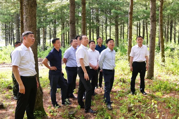 微信图片_20220706203922